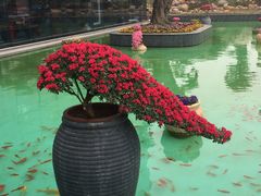 -南通洲际绿博园