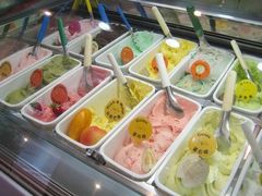 -柠檬车露(卖草地店)