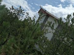 -丽江文化旅游学院
