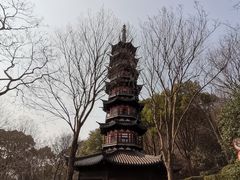 -上海佘山国家森林公园西佘山园