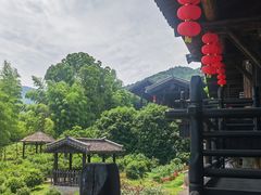 -大唐贡茶院