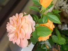 -侯家庄私房菜馆观景餐厅