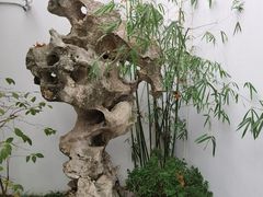 -苏州园林博物馆