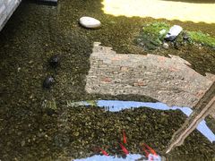 -几荷·恰似故人来(秀水广场店)