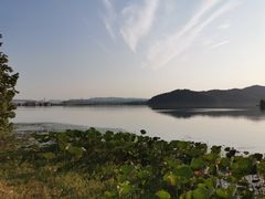 -东湖落雁景区