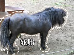 -成都动物园
