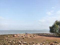 -深圳湾公园(南山区)