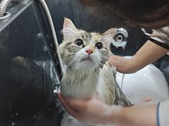 -喜狗宠物生活馆(岳州路店)