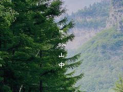 -红崖峡谷景区