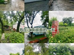 -西溪国家湿地公园