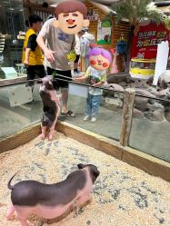-造物庄园 萌宠纪(苏州湾歌林公园店)
