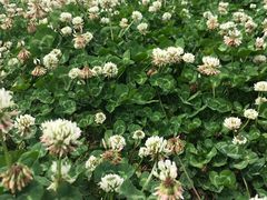 -仙海旅游度假区