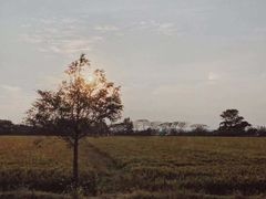 -小陆莲花蟹园农家乐(莲花岛店)