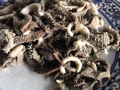 -东兴顺爆肚张