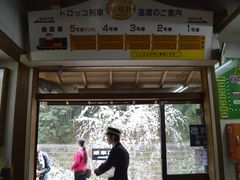 -岚山嵯峨野观光小火车