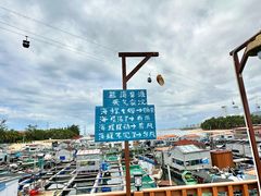 -蓝湾碧波·老字号·疍家非遗海上餐厅