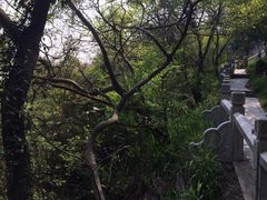 iphone_upload_pic-灵岩山风景区