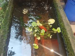 -赤宴·川菜(玉林店)