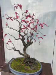 -5KM舞蹈街舞工作室