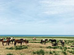 -青海湖国家重点风景名胜区