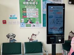 -美联众合动物医院·内科·皮肤科·外科(古城分院)