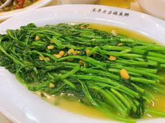 豆醬空心菜-长平老姿娘夜粥(平东一街店)