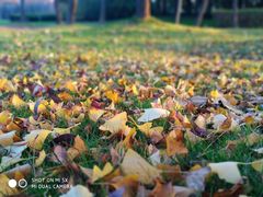 -中国浦东干部学院