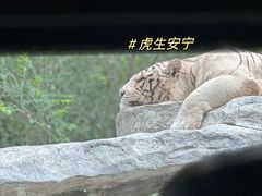 -北京野生动物园