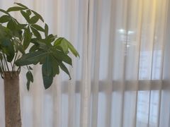 -悦园影院式·足道·养生spa