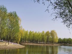 -东郊湿地公园