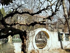 -山东师范大学(千佛山校区)