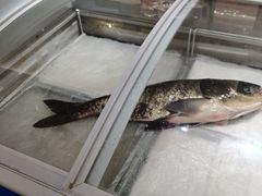 -悦融琥珀·京鲁菜·海味珍品(西单店)