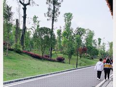 -枫香湖儿童公园