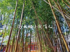 -潭柘寺景区