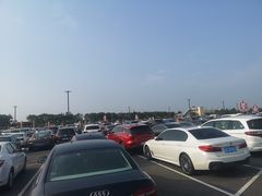 -迪士尼乐园停车场