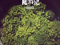 -味道云南·云朵山歌(东方都会广场店)