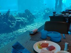 -海棠湾洲际-涛·海底餐厅·美人鱼·自助餐·海底隧道