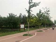 -丁香湖公园