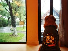 -太阳岛度假酒店