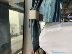 -全乐鱼馆·淳牌有机鱼直营店