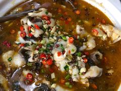 -淳安二十八道·美食汇·淳鱼馆(阳光路店)