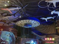 -烟台海昌鲸鲨海洋公园