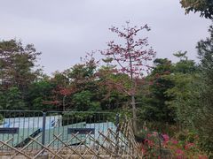 -福田红树林生态公园