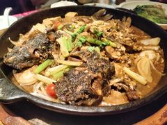 -老板恋上鱼(环山路店)