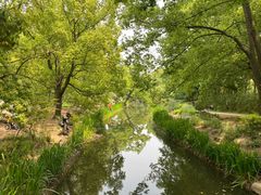 -上海共青森林公园