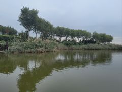 -南大港湿地风景区