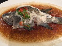-青岛西海岸隆和福朋喜来登酒店