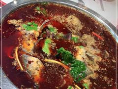 -蜀滋香鲜鱼美蛙火锅(339店)