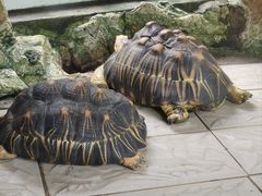 -合肥野生动物园