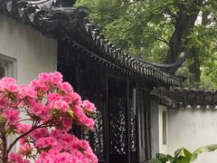 -拙政园